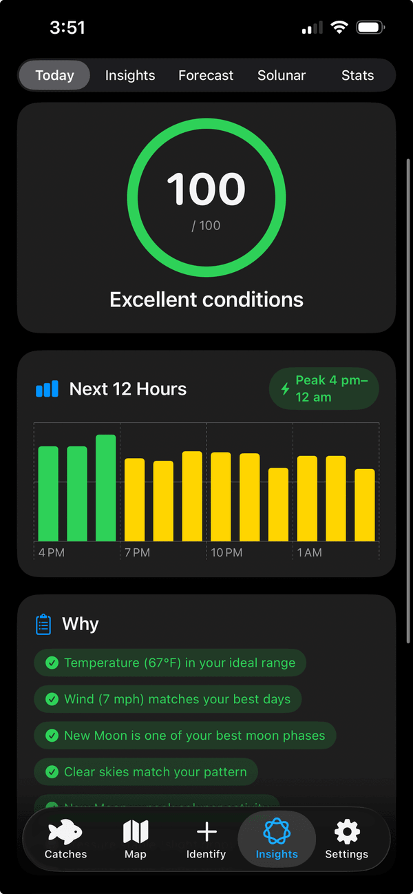 ReelIQ Today tab showing a 100 out of 100 bite score with Excellent conditions label, 12-hour hourly outlook, and green check reasons for temperature, wind, moon, and clear skies